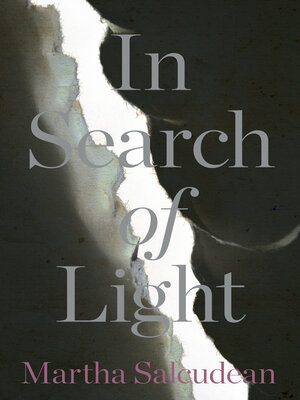 cover image of In Search of Light